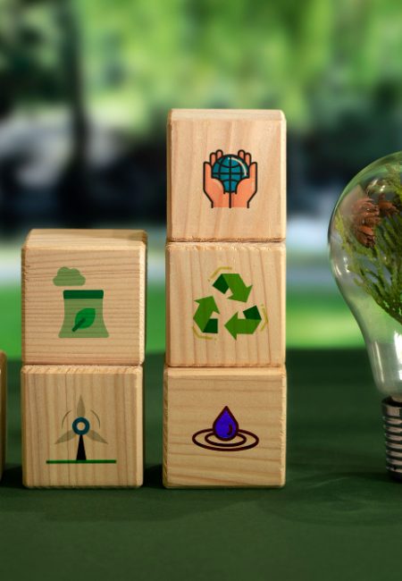 sustainable development